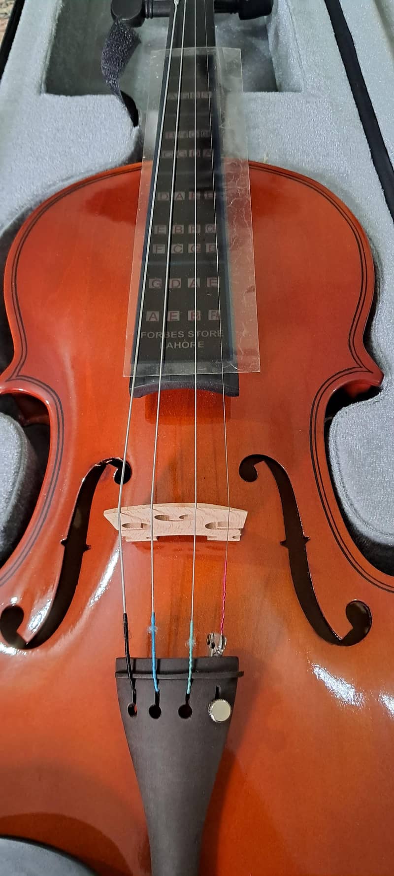 violins 6