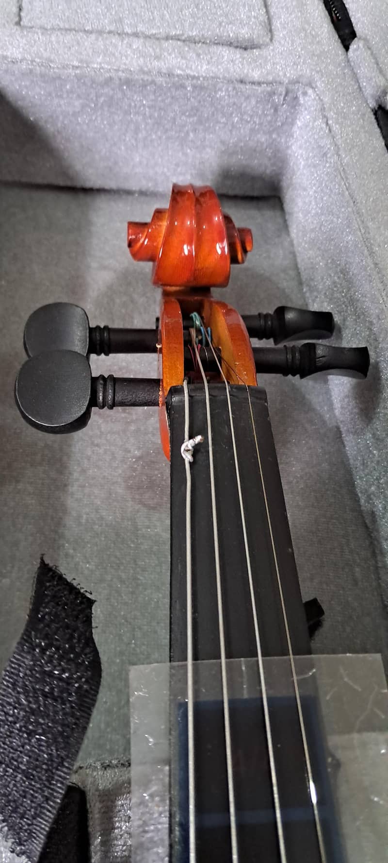 violins 5