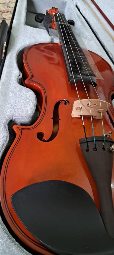violins