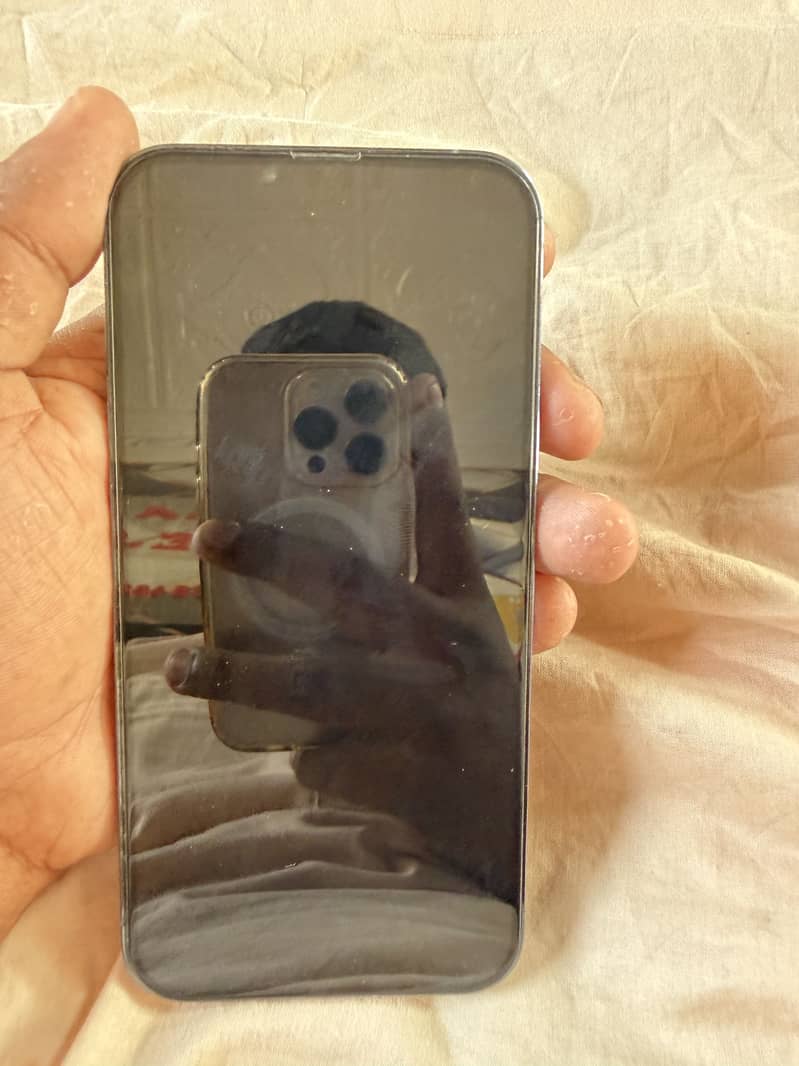 Apple iPhone 13 Pro Max 0