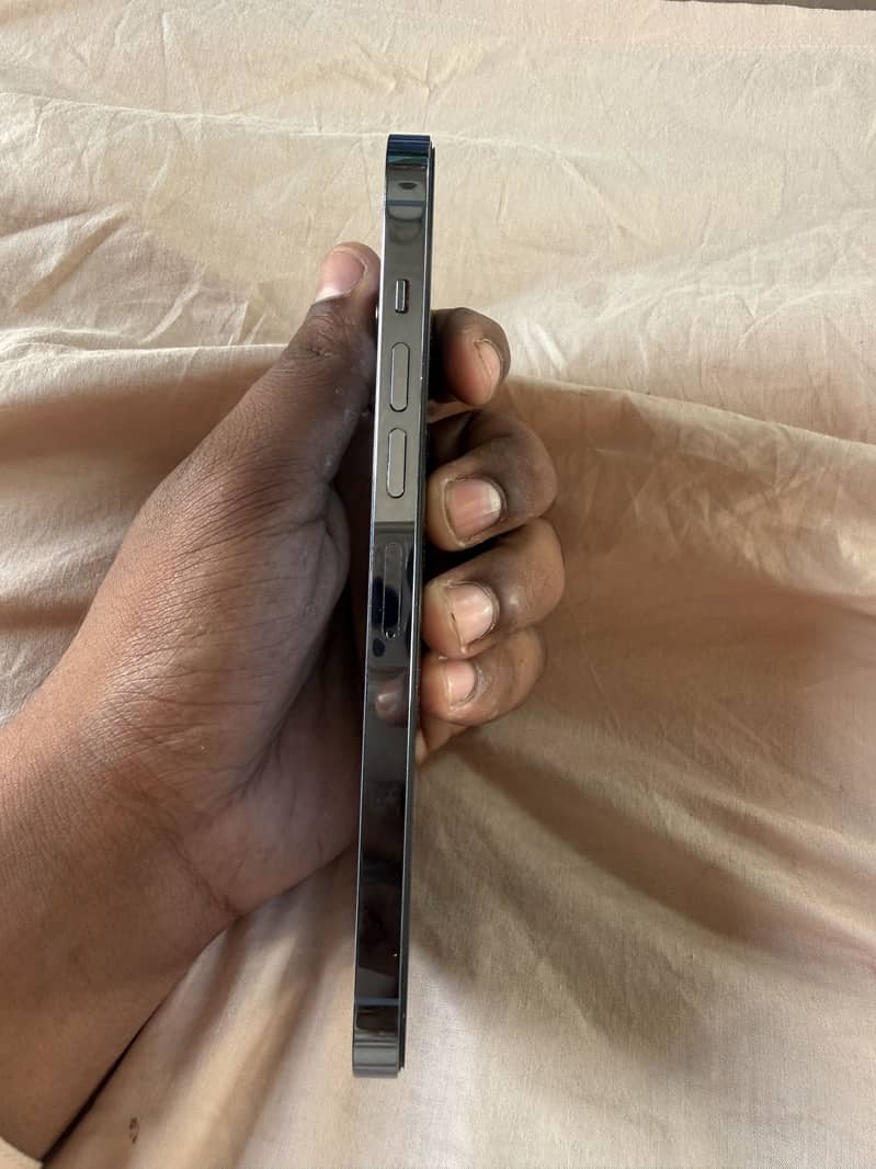 Apple iPhone 13 Pro Max 2