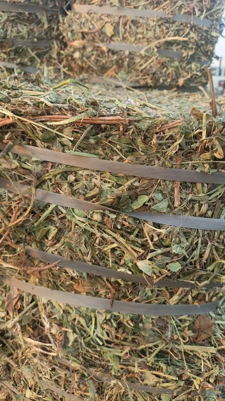 Peanut straw / Mongphali Missa for sale/ Animal food