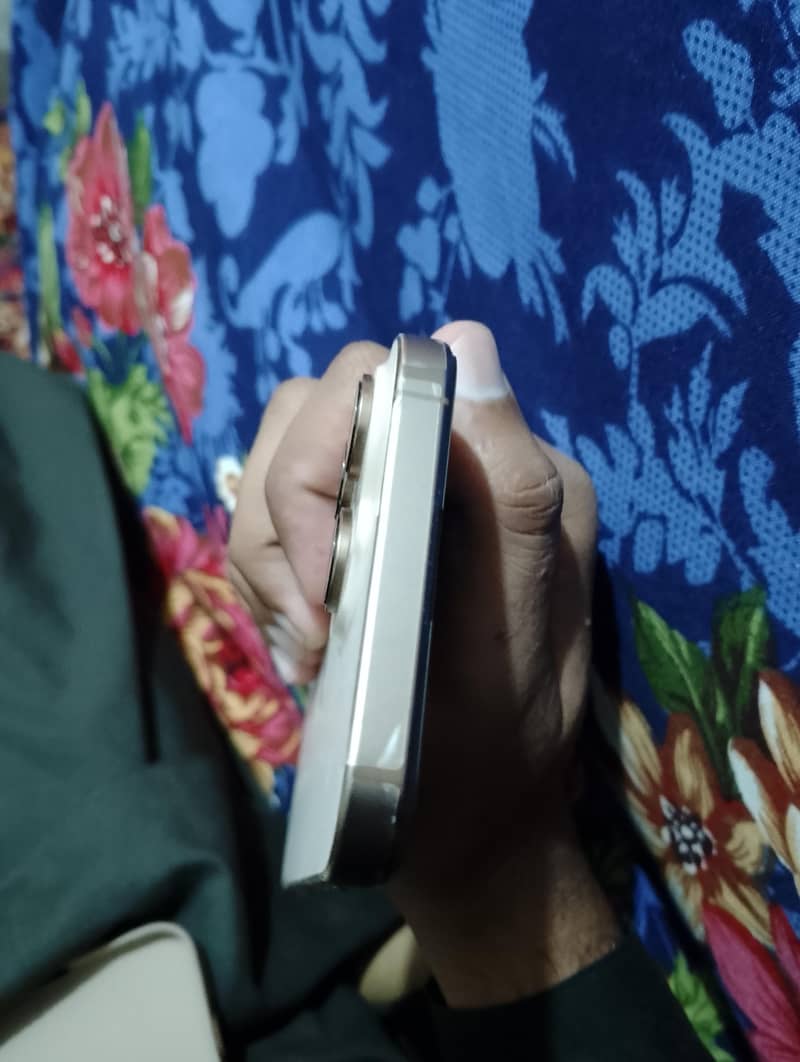 Apple iPhone 16 Pro Max 1