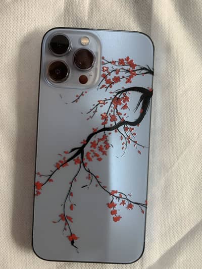 iPhone 13 Pro Max