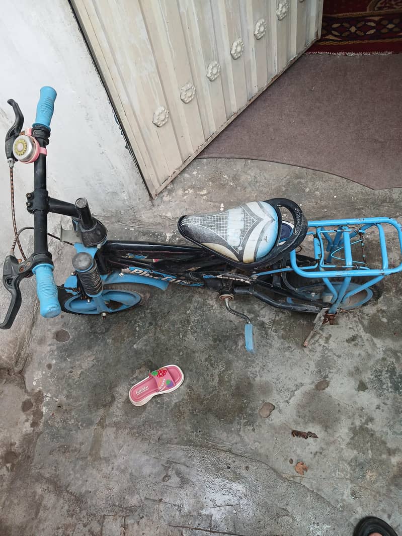 kid cycle 1