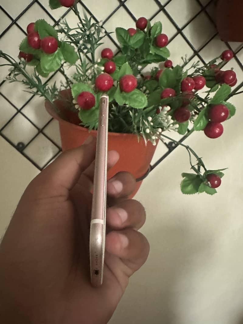 Apple iPhone 7 2