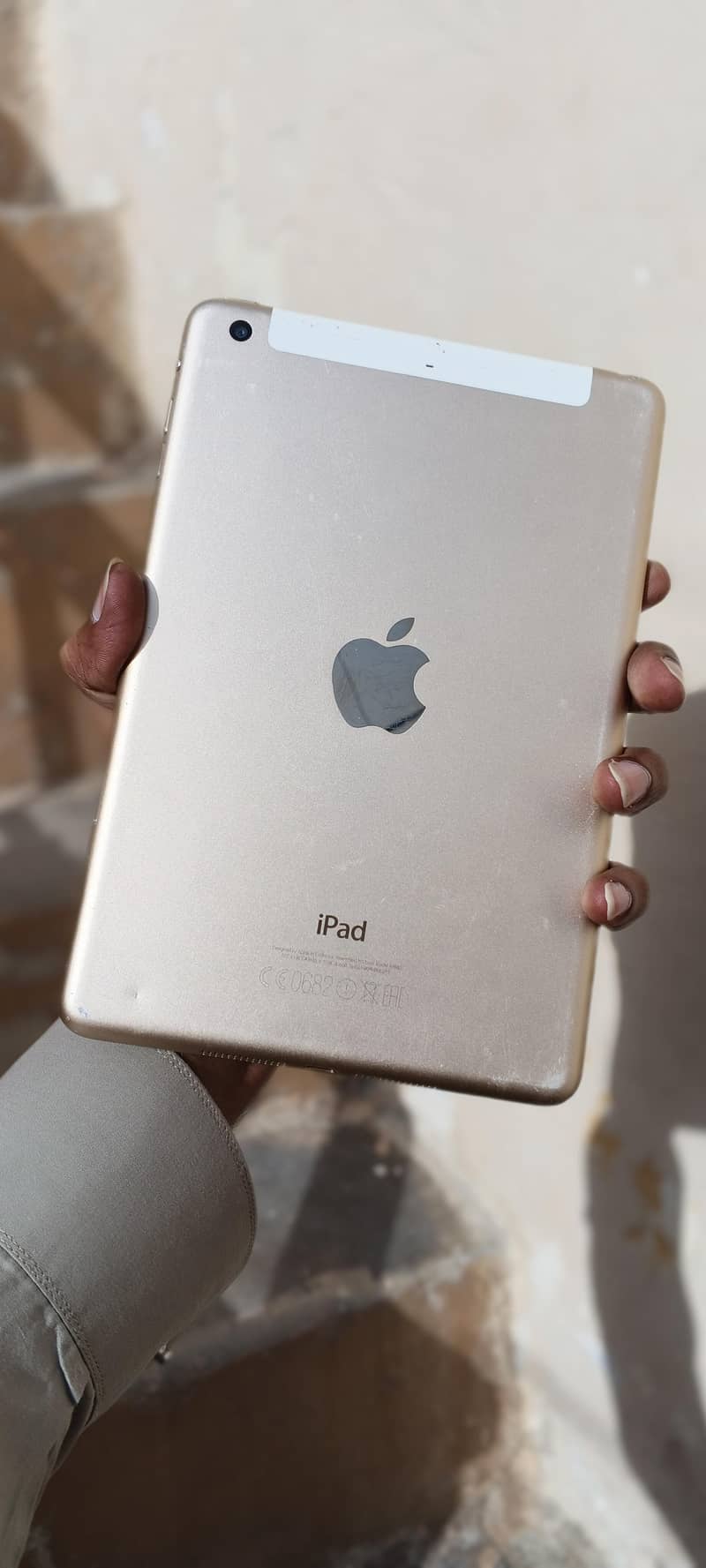 Apple iPAD MiNi 3 8
