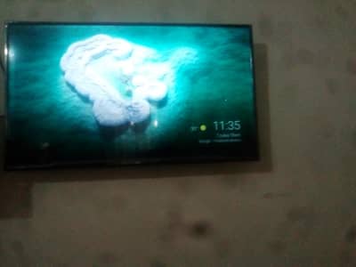 LED tcl