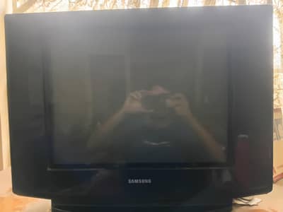 Samsung 21 inches TV. Never opened or repaired. No fault.