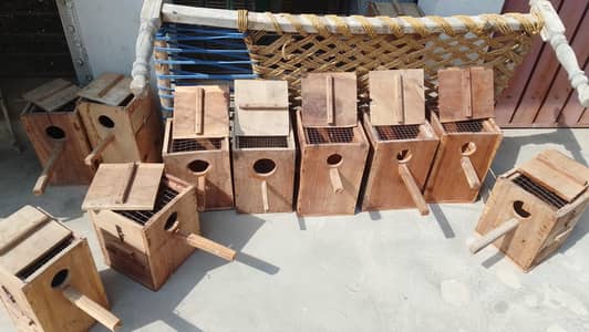 Breeding Boxes for Raw | Ringneck | Sunconure. A+ condition.
