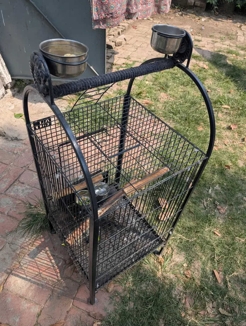 heavy iron parrot cage just like new — photo 2