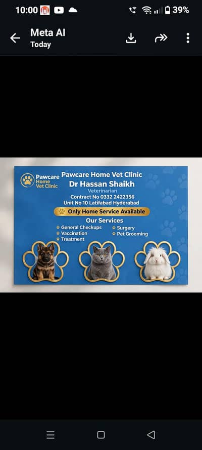 paw care home vet clinic