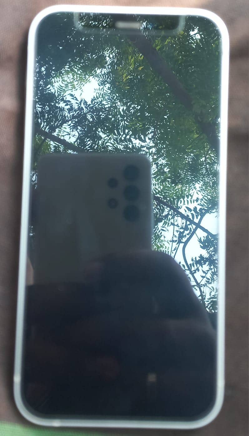 Apple iPhone 12 mini 1