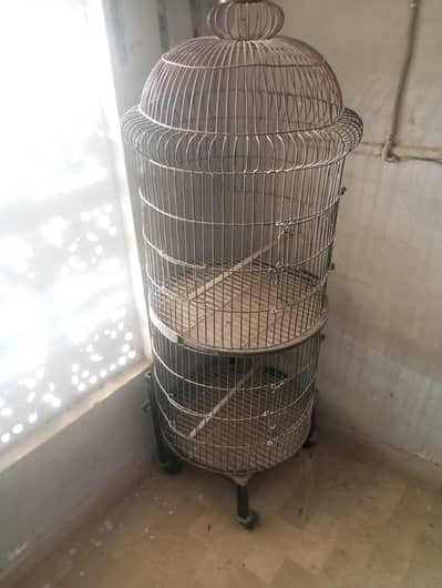 Birds Cage double portion