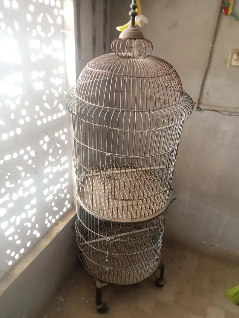 Birds Cage double portion — photo 2