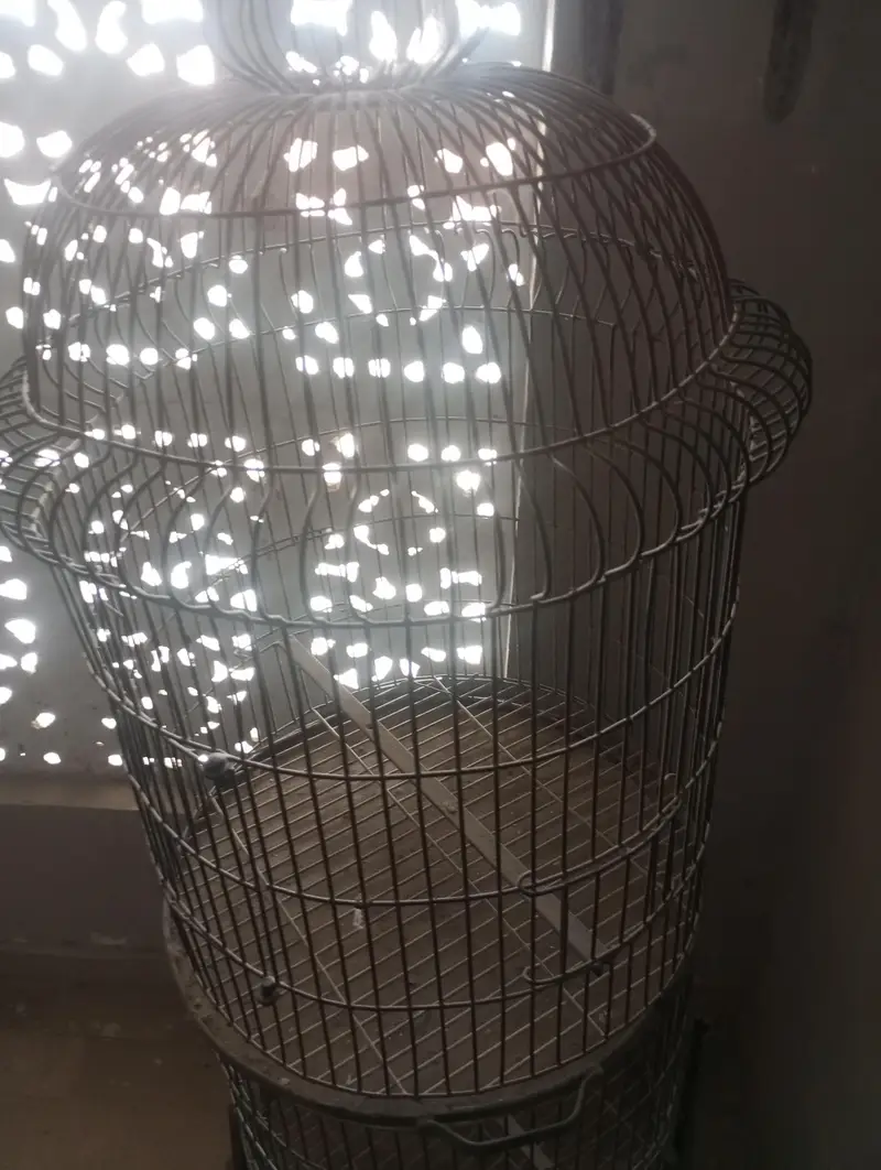 Birds Cage double portion — photo 3