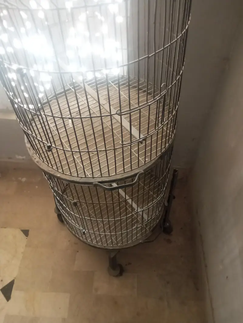 Birds Cage double portion — photo 4