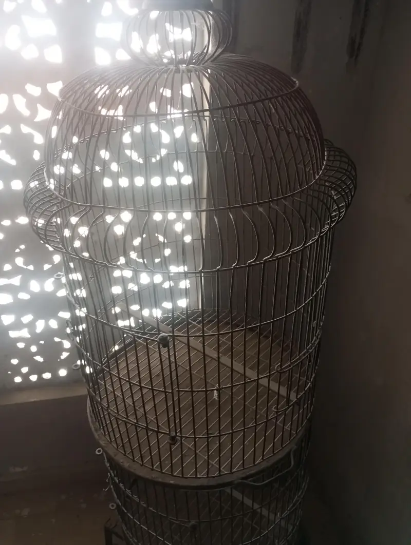 Birds Cage double portion — photo 5