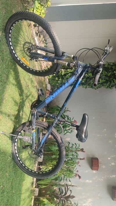Bearly used. Mountain + strong bicycle. 8 gears. Price NEGOTIABLE!