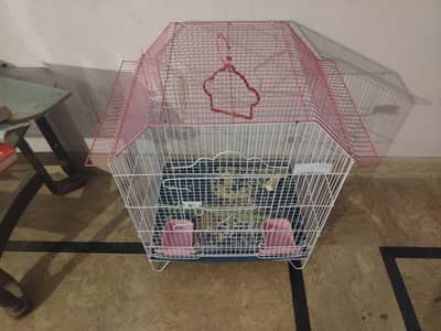 cage for parrots hens,new condition