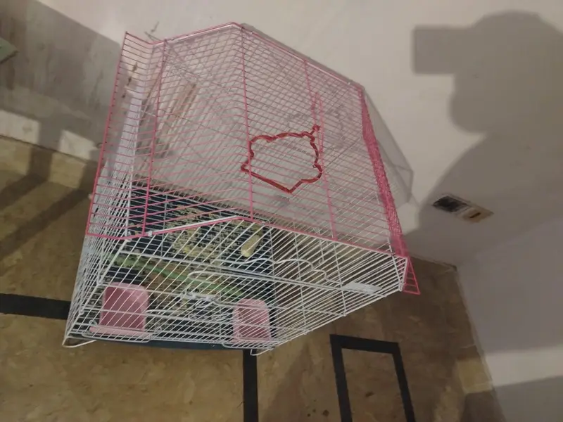 cage for parrots hens,new condition — photo 3