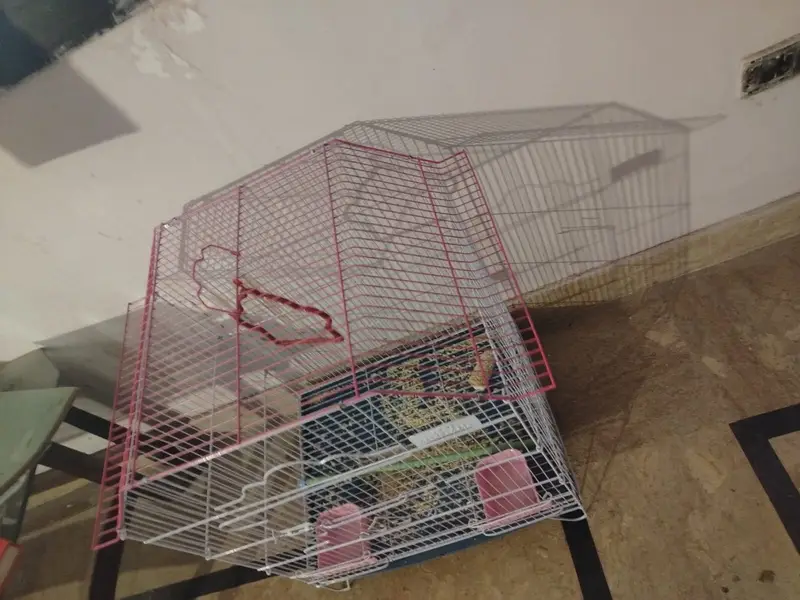 cage for parrots hens,new condition — photo 4