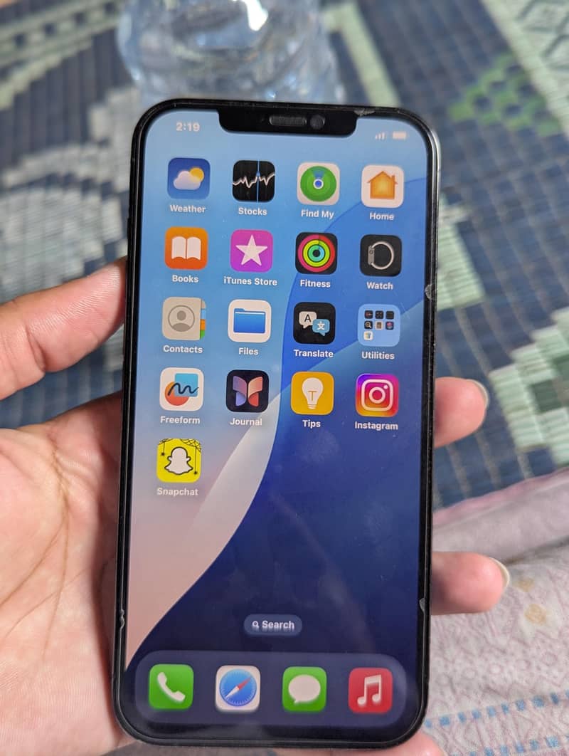 Apple iPhone 12 Pro Max 1