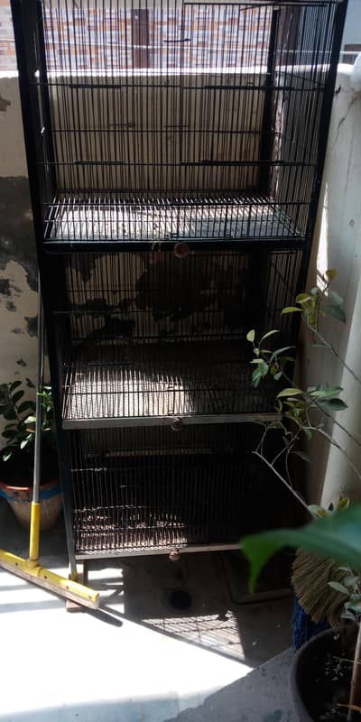 4 portion cage