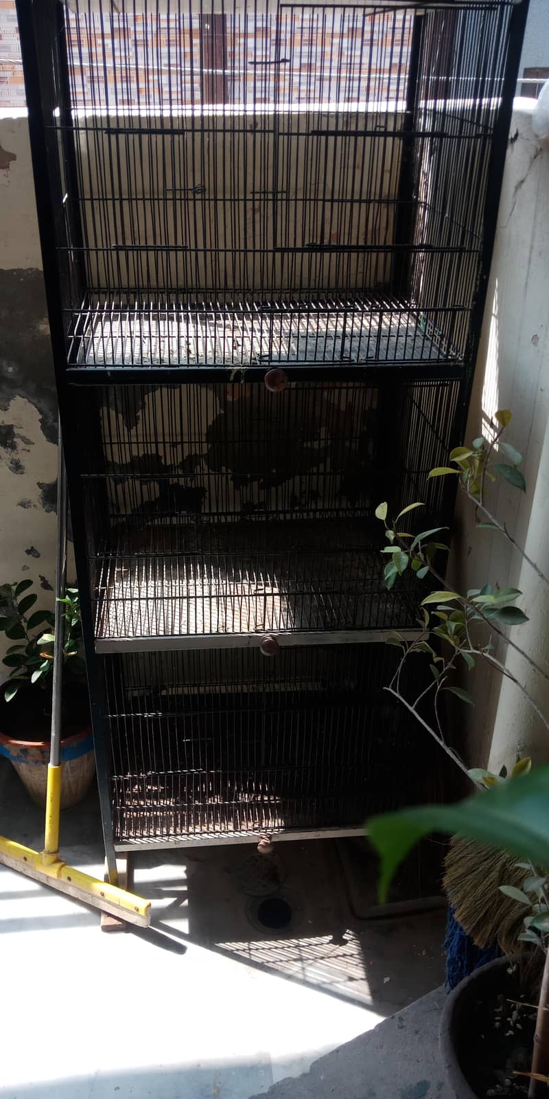 4 portion cage 0