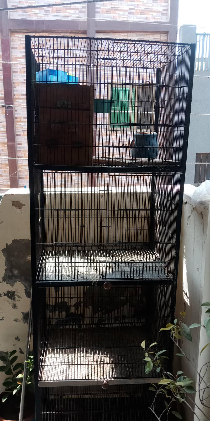 4 portion cage 1