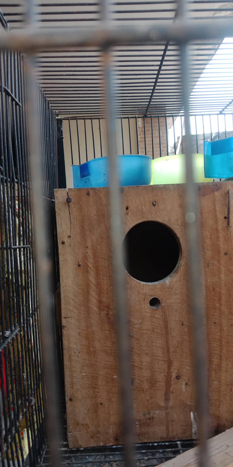 4 portion cage 2