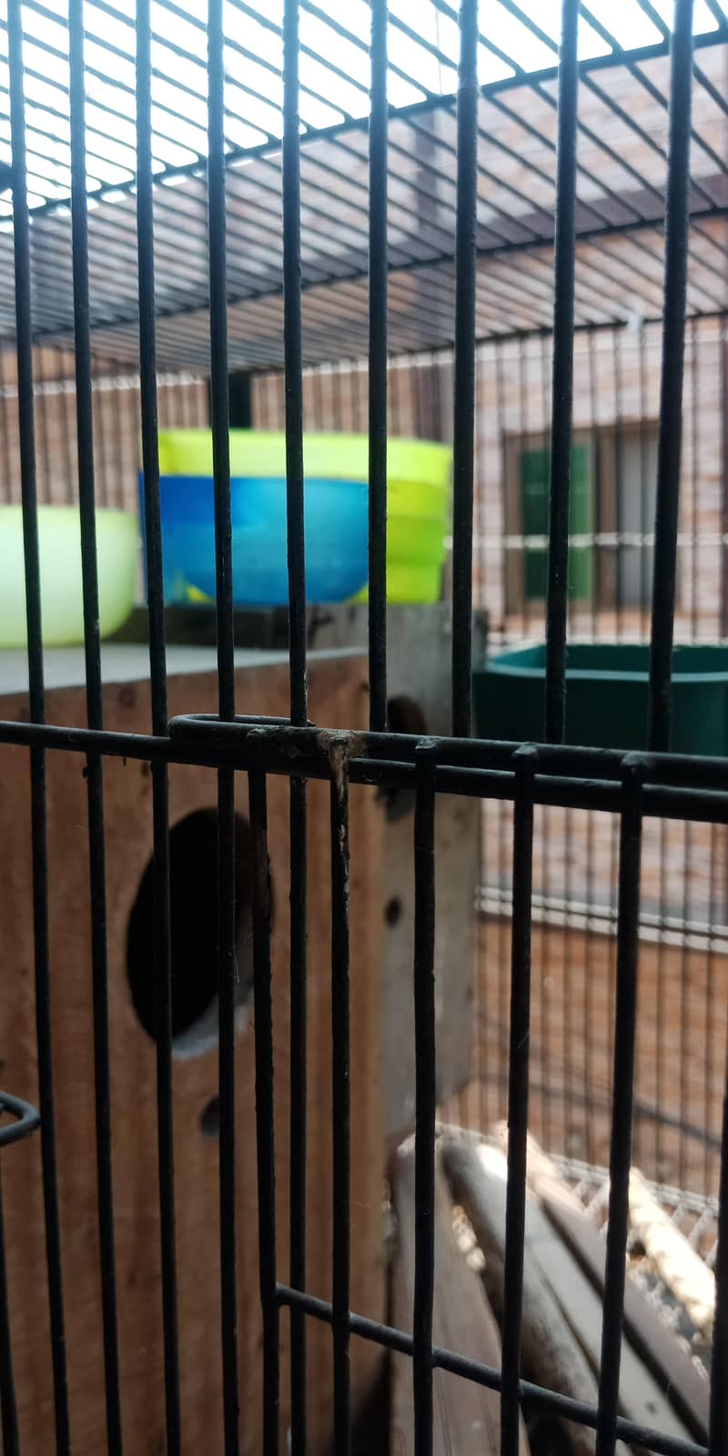 4 portion cage 3