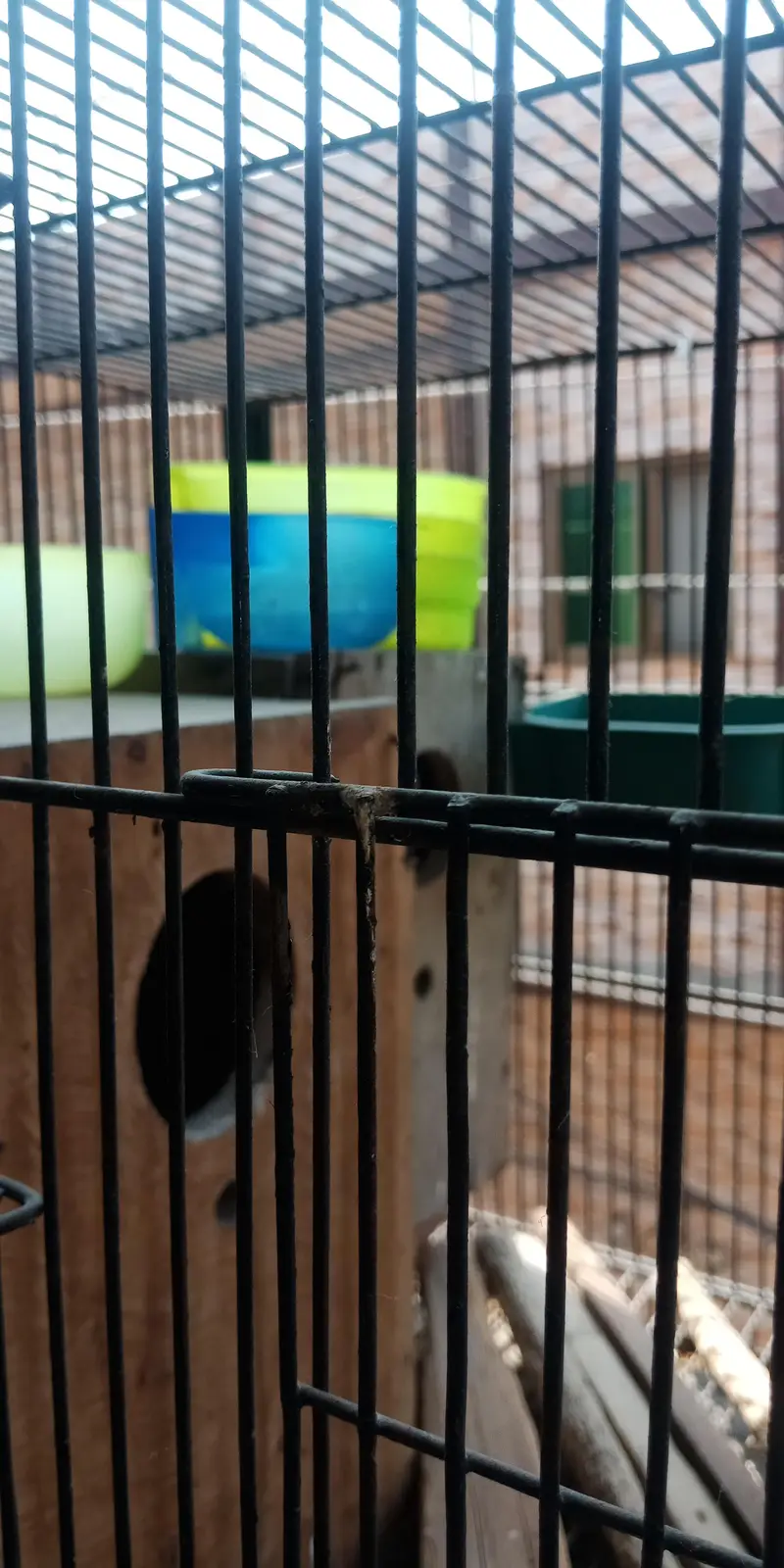 4 portion cage — photo 4