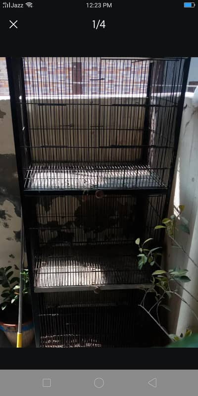 4 question cage