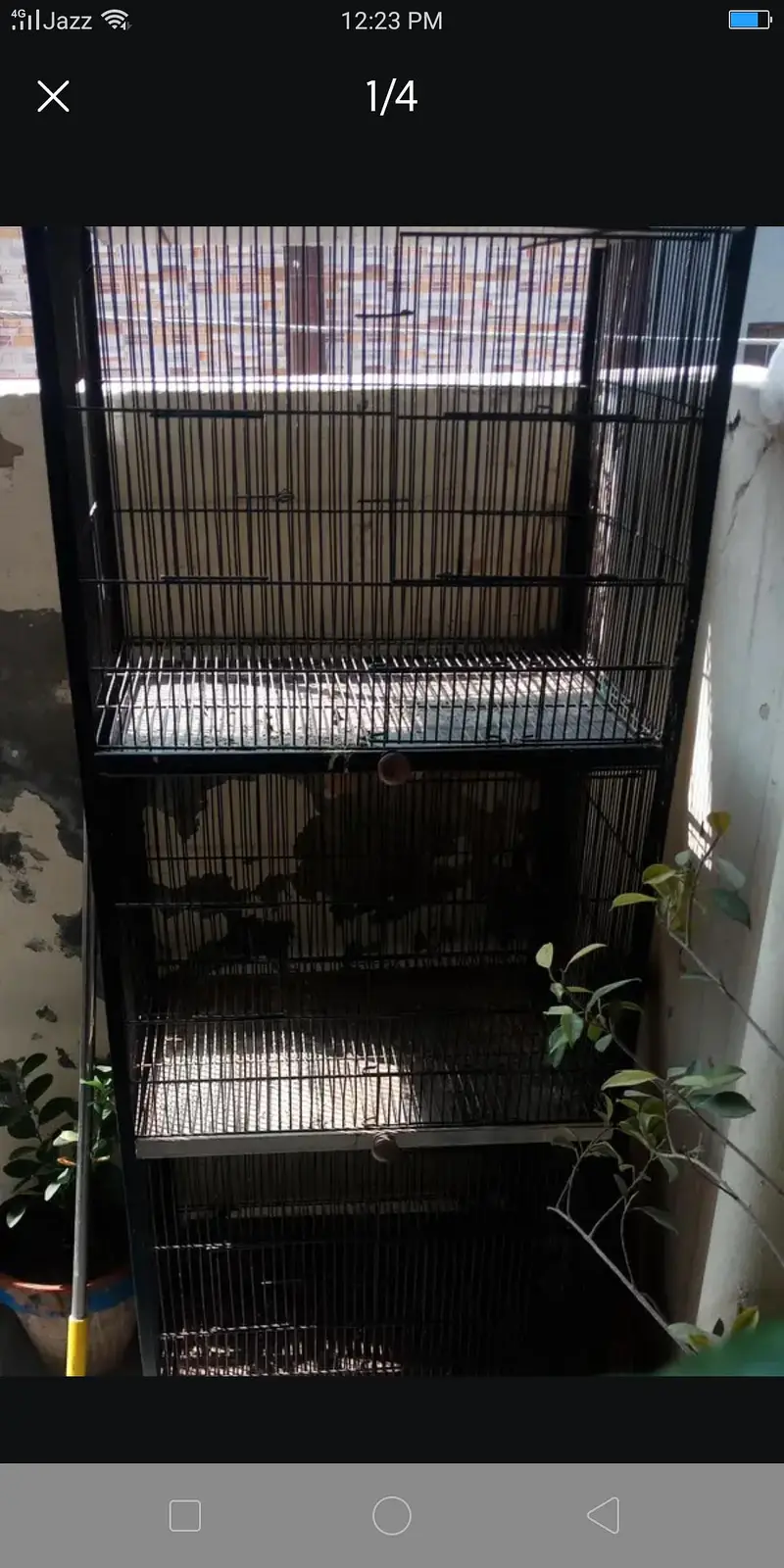 4 question cage