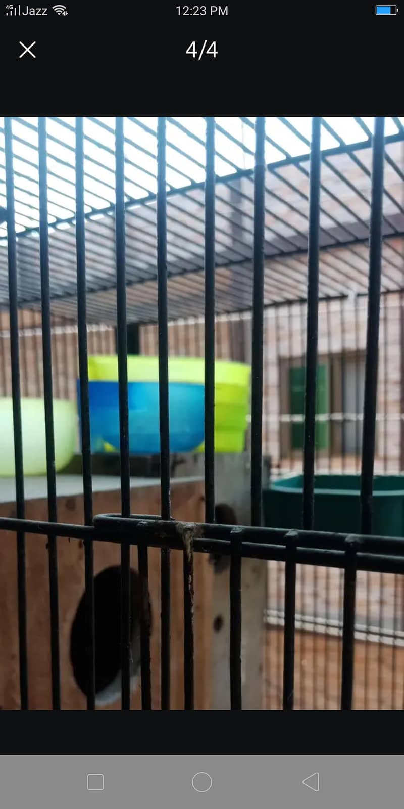 4 question cage 1