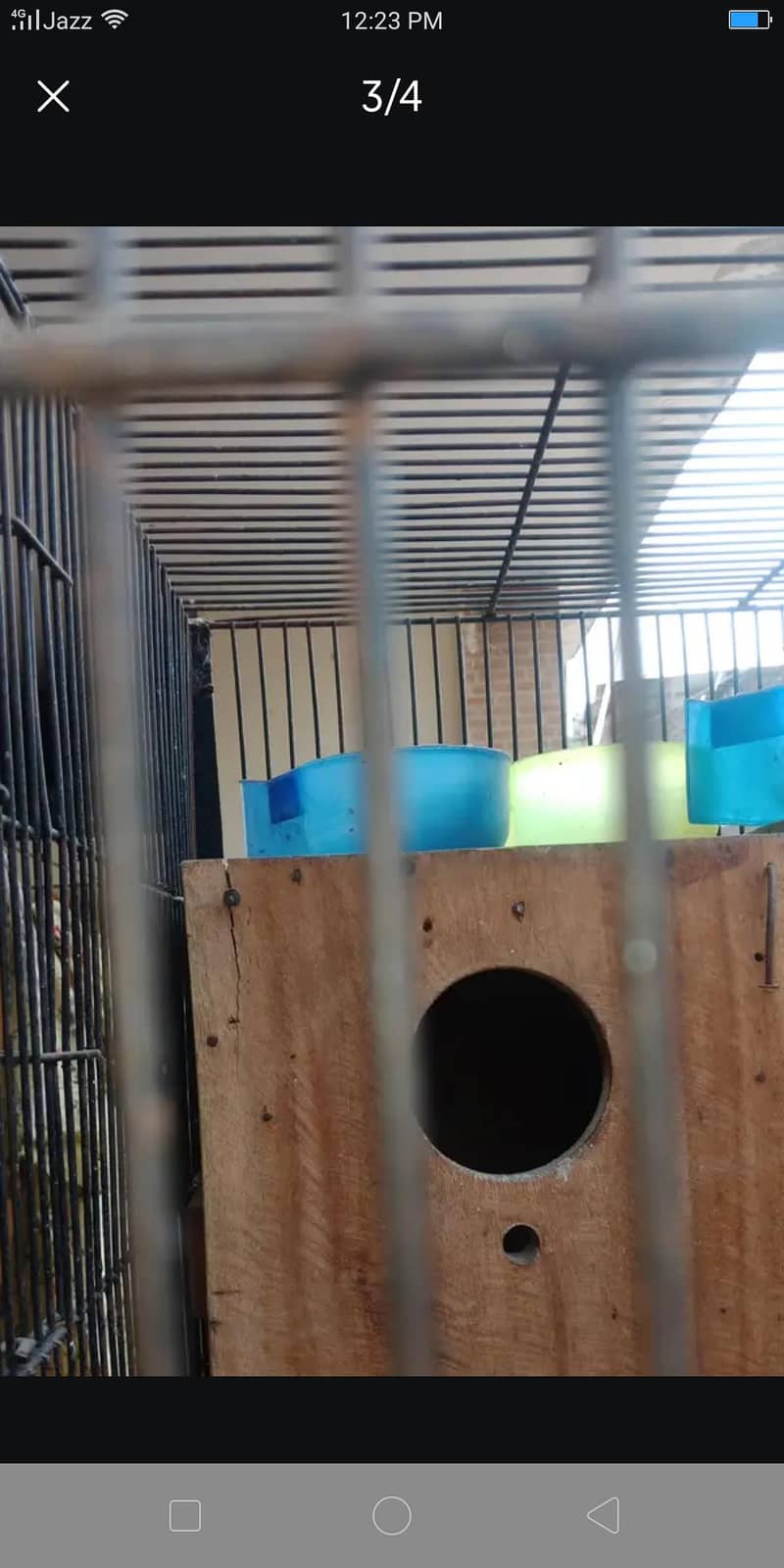 4 question cage 2