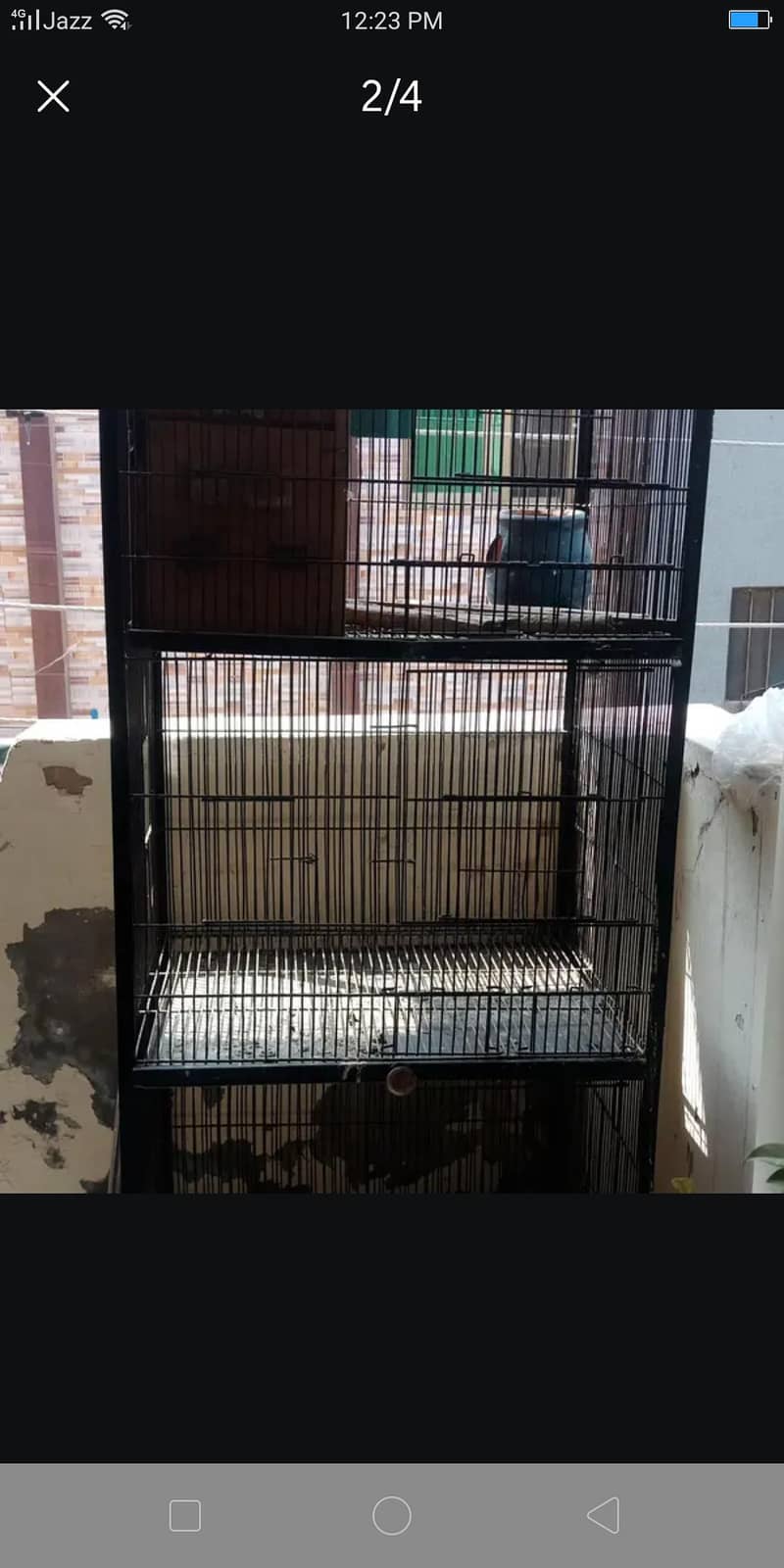 4 question cage 3