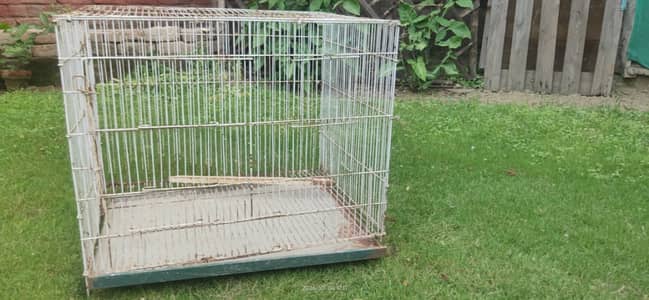 LOVE BIRDS WITH CAGES FOR URGENT SALE