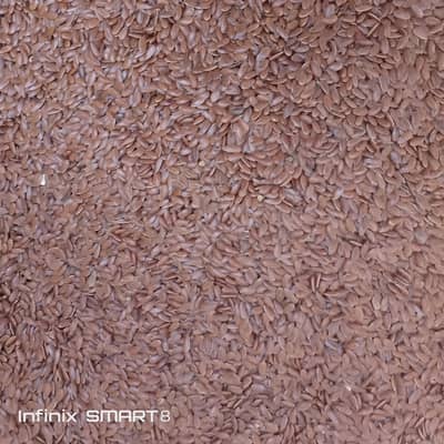 السی بیحچ  . (  flaxseed )