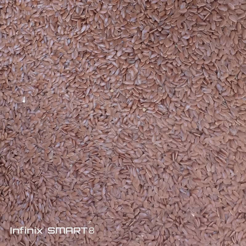 السی بیحچ  . (  flaxseed ) 0