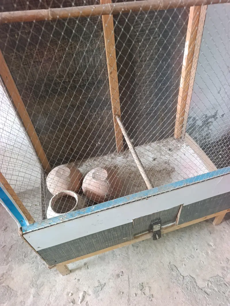 2 cage for sell — photo 3