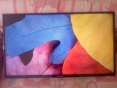 Eco Star 40" LED Available