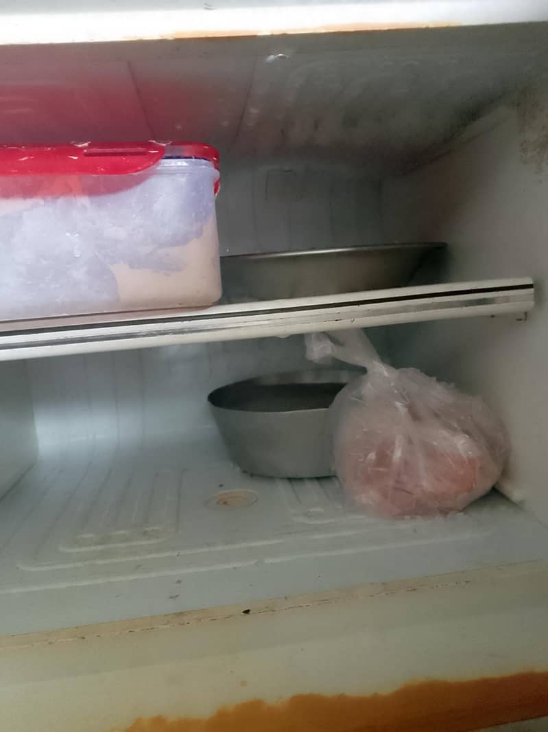 frige Dowlance 1