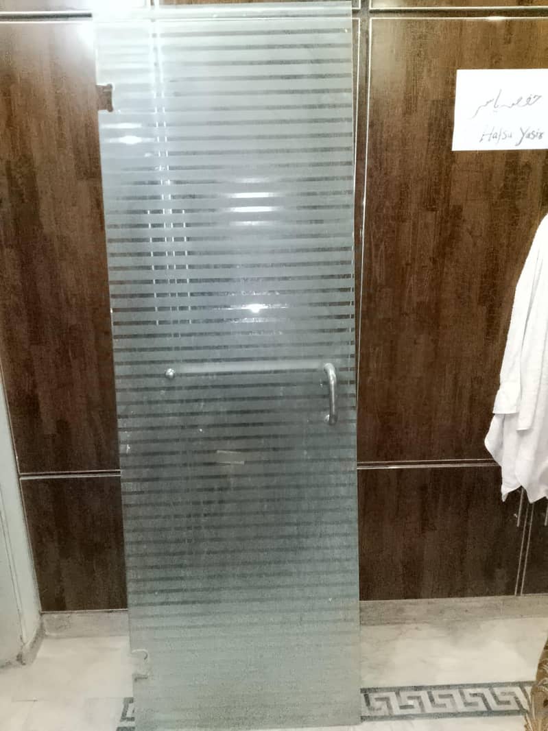 shower door 1