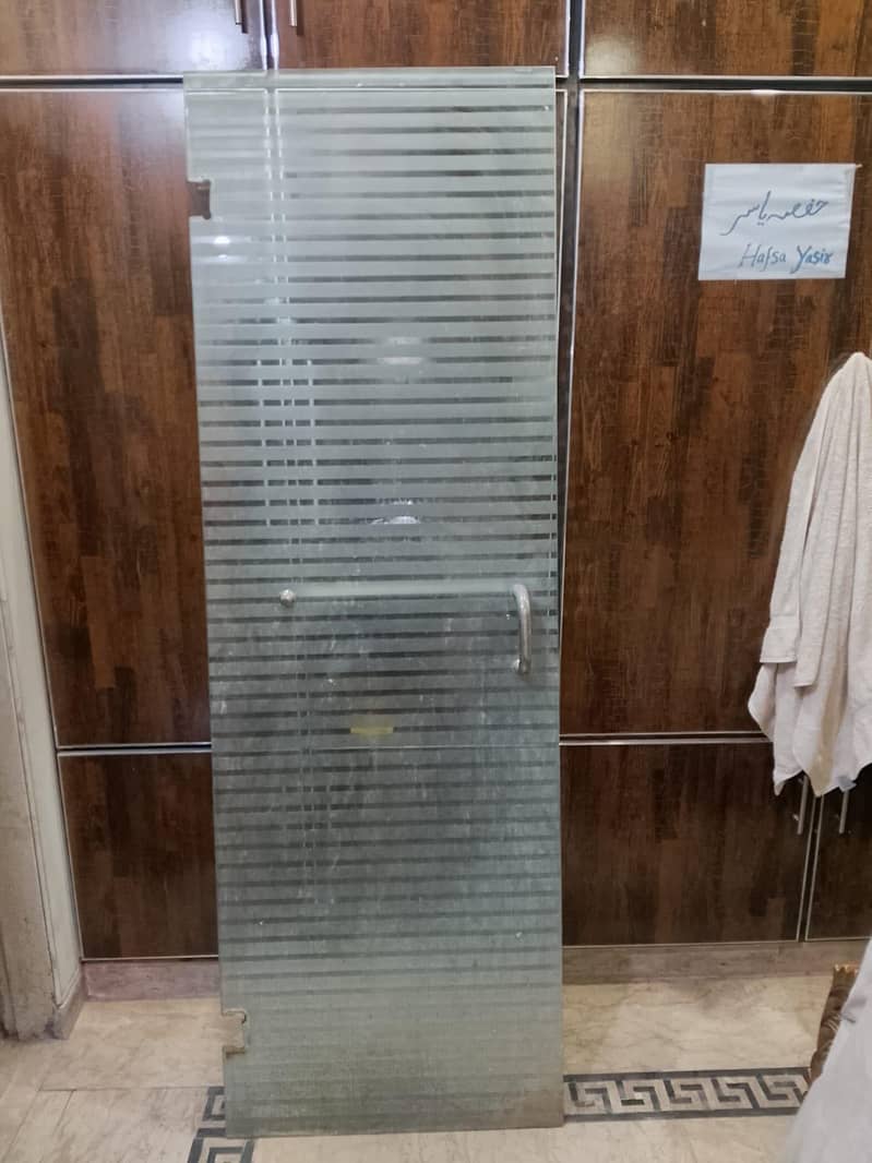 shower door 2