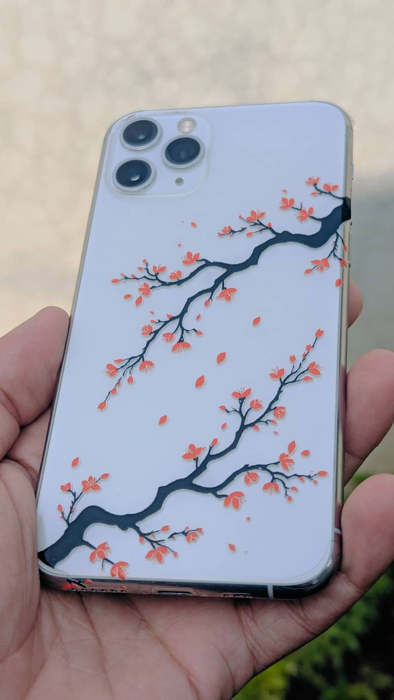 iPhone 11 Pro 1
