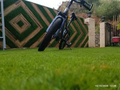 bicycle