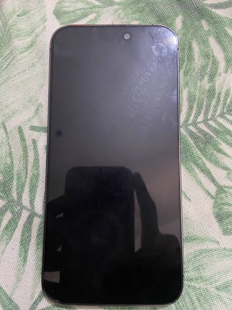 Apple iPhone 14 Pro Max 1