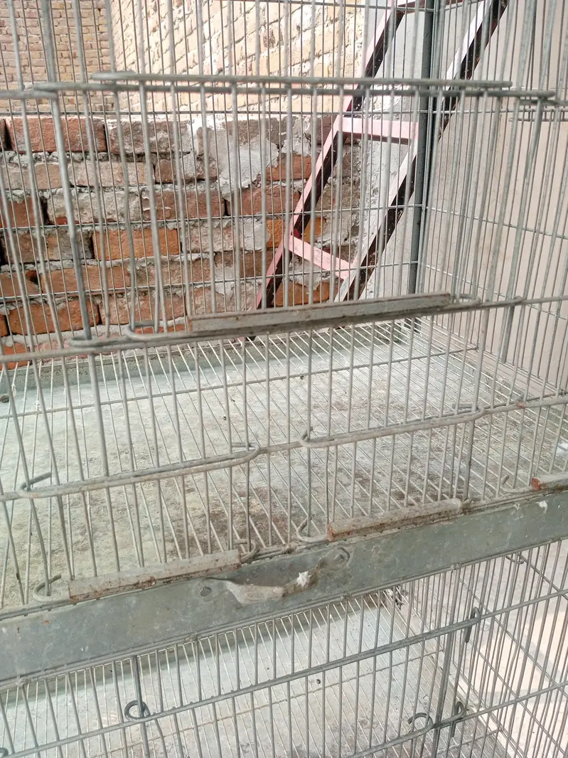 cage 2.5*1.5*1.5 — photo 3